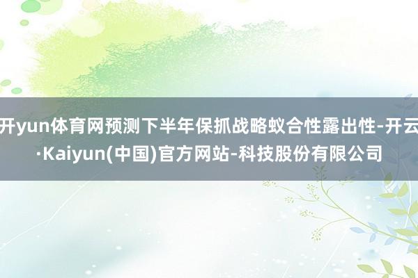开yun体育网预测下半年保抓战略蚁合性露出性-开云·Kaiyun(中国)官方网站-科技股份有限公司