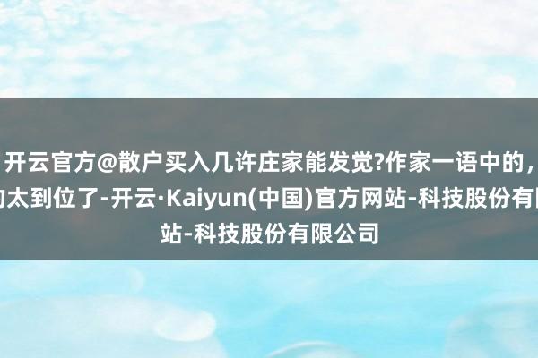 开云官方@散户买入几许庄家能发觉?作家一语中的，分析的太到位了-开云·Kaiyun(中国)官方网站-科技股份有限公司