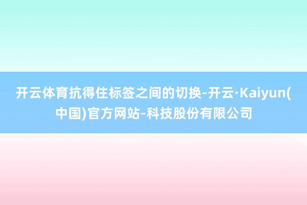 开云体育抗得住标签之间的切换-开云·Kaiyun(中国)官方网站-科技股份有限公司